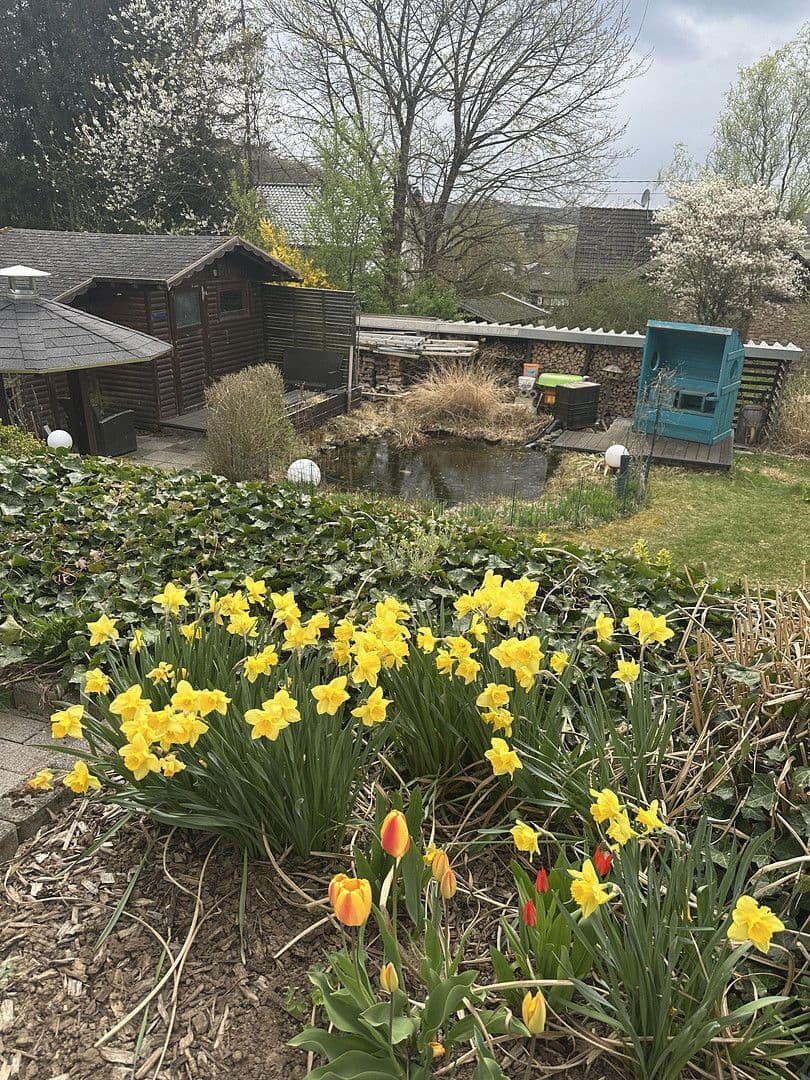 house to rent, 130 m², Große Wiese 5, Steinebach an der Wied, Rhineland-Palatinate house to rent, 130 m², Große Wiese 5, Steinebach an der Wied, Rhineland-Palatinate