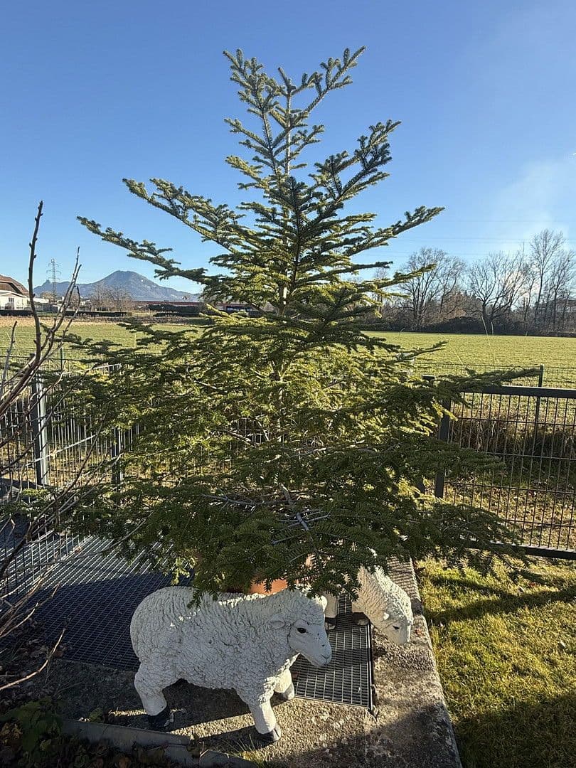 2 bedroom flat to rent, 52 m², Salzburg/Liefering, Salzburg 2 bedroom flat to rent, 52 m², Salzburg/Liefering, Salzburg