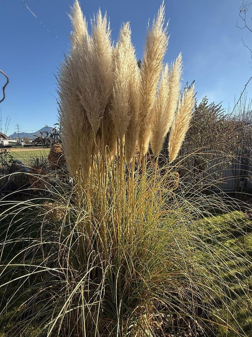 2 bedroom flat to rent, 52 m², Salzburg/Liefering, Salzburg 2 bedroom flat to rent, 52 m², Salzburg/Liefering, Salzburg
