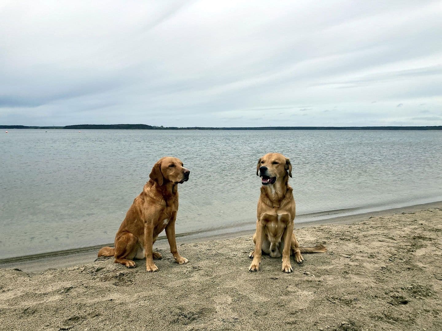 house for sale, 104 m², Strandweg 8, Göhren-Lebbin, Mecklenburg-Vorpommern house for sale, 104 m², Strandweg 8, Göhren-Lebbin, Mecklenburg-Vorpommern