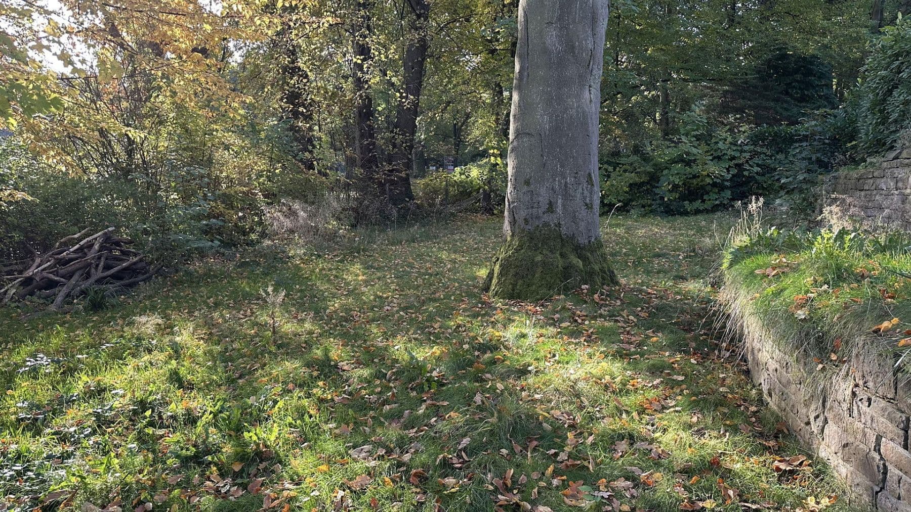 2 bedroom flat to rent, 60 m², Hamburg, Hamburg 2 bedroom flat to rent, 60 m², Hamburg, Hamburg