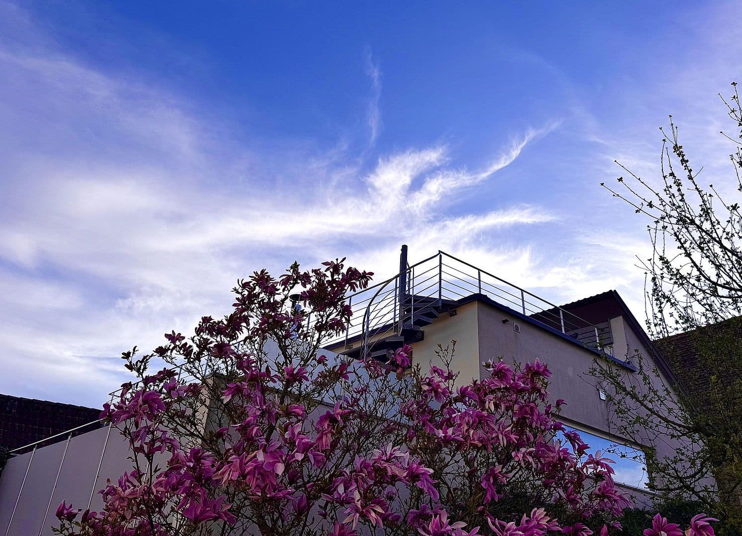 house for sale, 146 m², Schallstadt, Baden-Württemberg house for sale, 146 m², Schallstadt, Baden-Württemberg