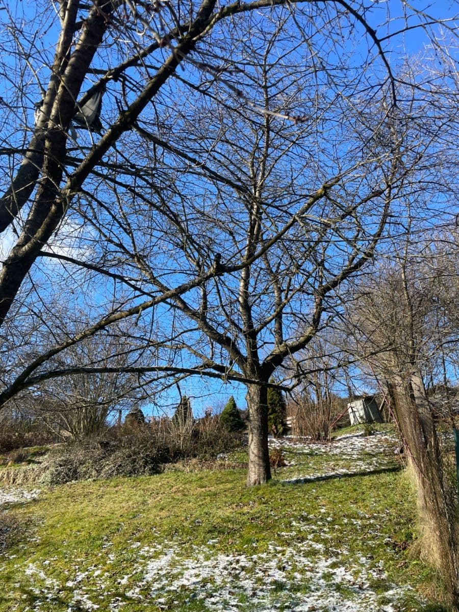 house for sale, 274 m², Paseky, Želechovice nad Dřevnicí, Zlínský Region house for sale, 274 m², Paseky, Želechovice nad Dřevnicí, Zlínský Region