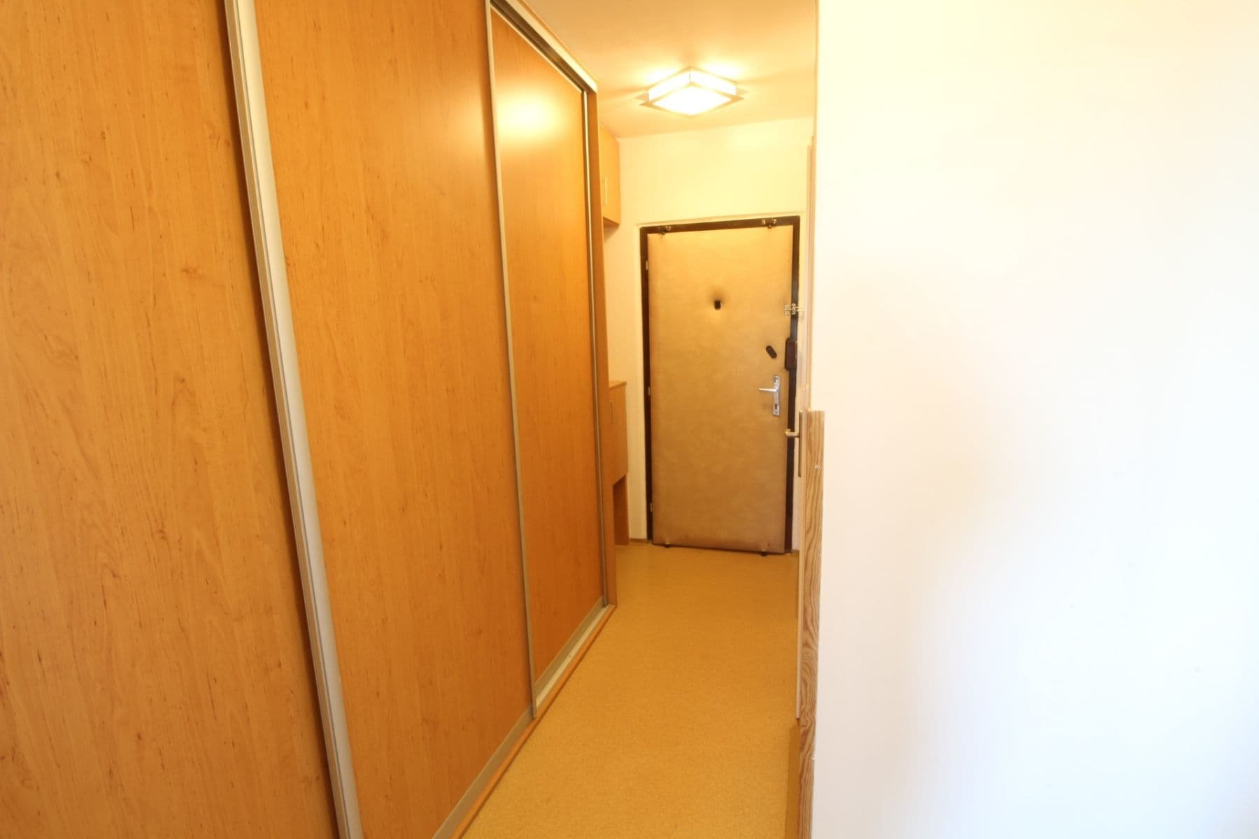 1 bedroom with open-plan kitchen flat to rent, 47 m², Družstevní ochoz, Prague, Prague 1 bedroom with open-plan kitchen flat to rent, 47 m², Družstevní ochoz, Prague, Prague