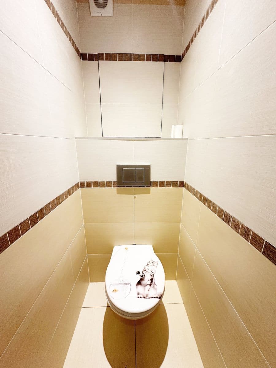 1 bedroom with open-plan kitchen flat to rent, 49 m², náměstí Osvoboditelů, Prague, Prague 1 bedroom with open-plan kitchen flat to rent, 49 m², náměstí Osvoboditelů, Prague, Prague