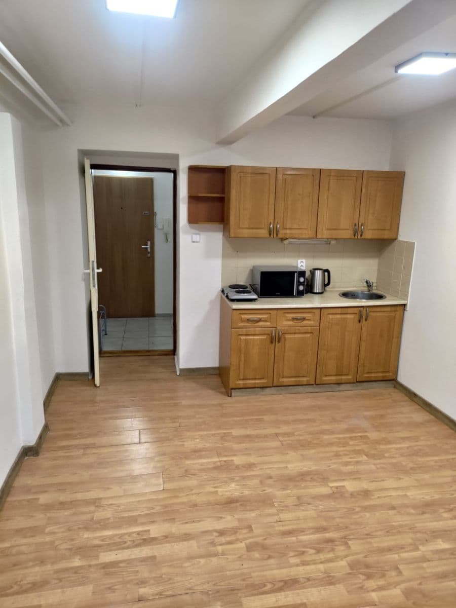 Small studio flat to rent, 22 m², Jihlavská, Prague, Prague Small studio flat to rent, 22 m², Jihlavská, Prague, Prague