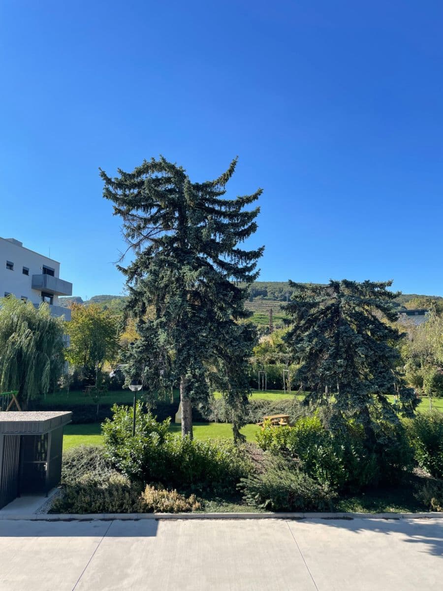 2 bedroom flat to rent, 55 m², Nové Mesto, Bratislavský Region 2 bedroom flat to rent, 55 m², Nové Mesto, Bratislavský Region