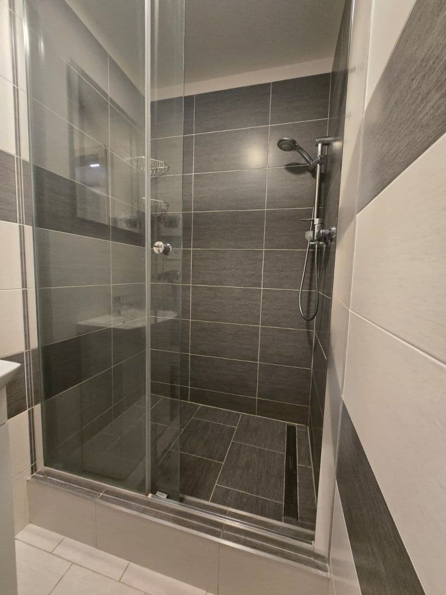 1 bedroom with open-plan kitchen flat to rent, 42 m², Skuteckého, Prague, Prague 1 bedroom with open-plan kitchen flat to rent, 42 m², Skuteckého, Prague, Prague