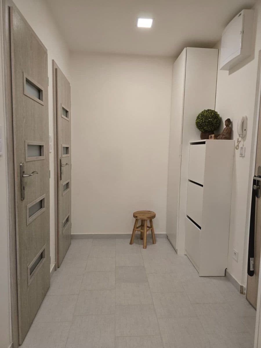 1 bedroom with open-plan kitchen flat to rent, 42 m², Skuteckého, Prague, Prague 1 bedroom with open-plan kitchen flat to rent, 42 m², Skuteckého, Prague, Prague