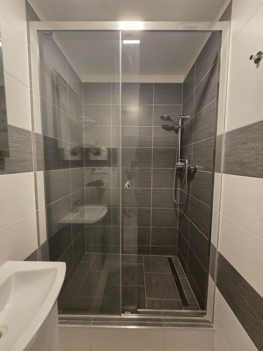 1 bedroom with open-plan kitchen flat to rent, 42 m², Skuteckého, Prague, Prague 1 bedroom with open-plan kitchen flat to rent, 42 m², Skuteckého, Prague, Prague