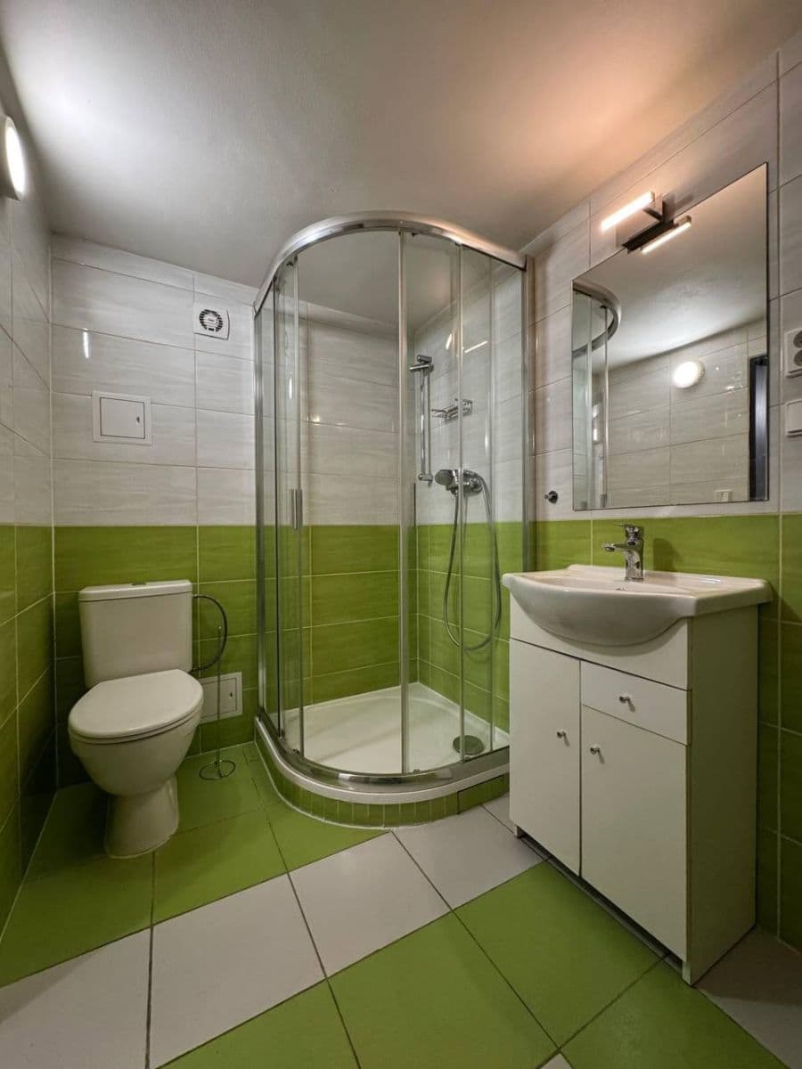 1 bedroom with open-plan kitchen flat to rent, 39 m², Pivoňková, Prague, Prague 1 bedroom with open-plan kitchen flat to rent, 39 m², Pivoňková, Prague, Prague