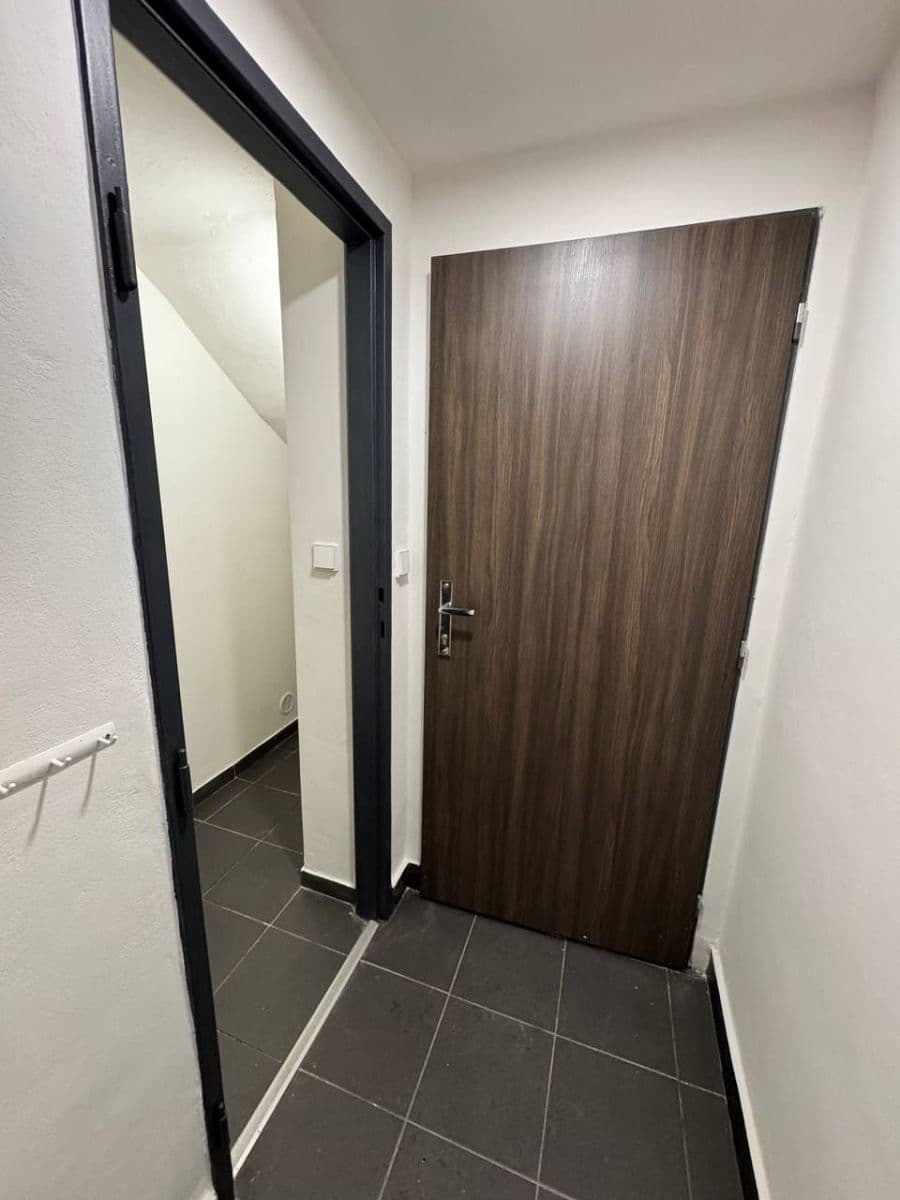 1 bedroom with open-plan kitchen flat to rent, 39 m², Pivoňková, Prague, Prague 1 bedroom with open-plan kitchen flat to rent, 39 m², Pivoňková, Prague, Prague