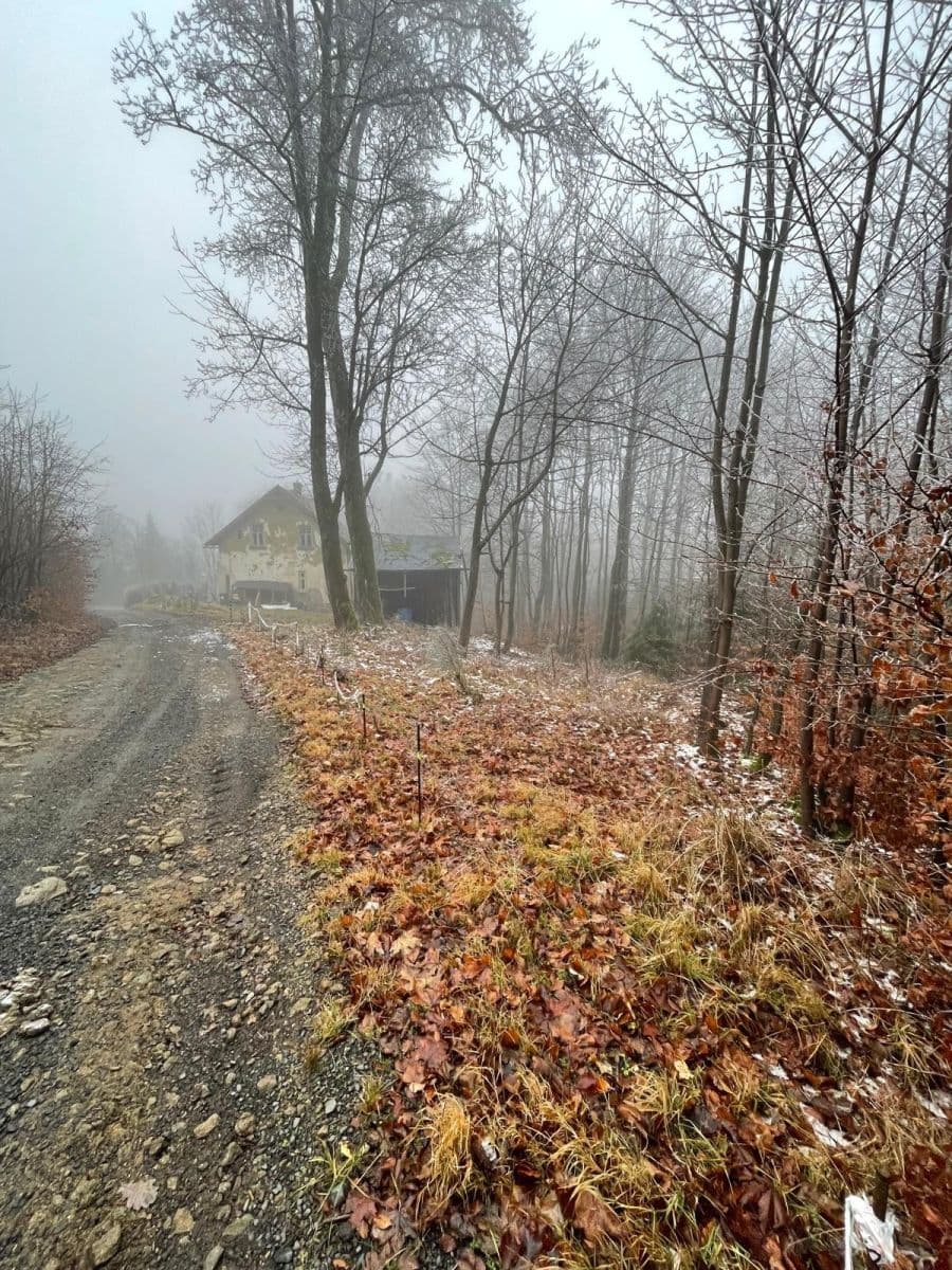 recreational property for sale, 569 m², Mikulášovice, Ústecký Region recreational property for sale, 569 m², Mikulášovice, Ústecký Region