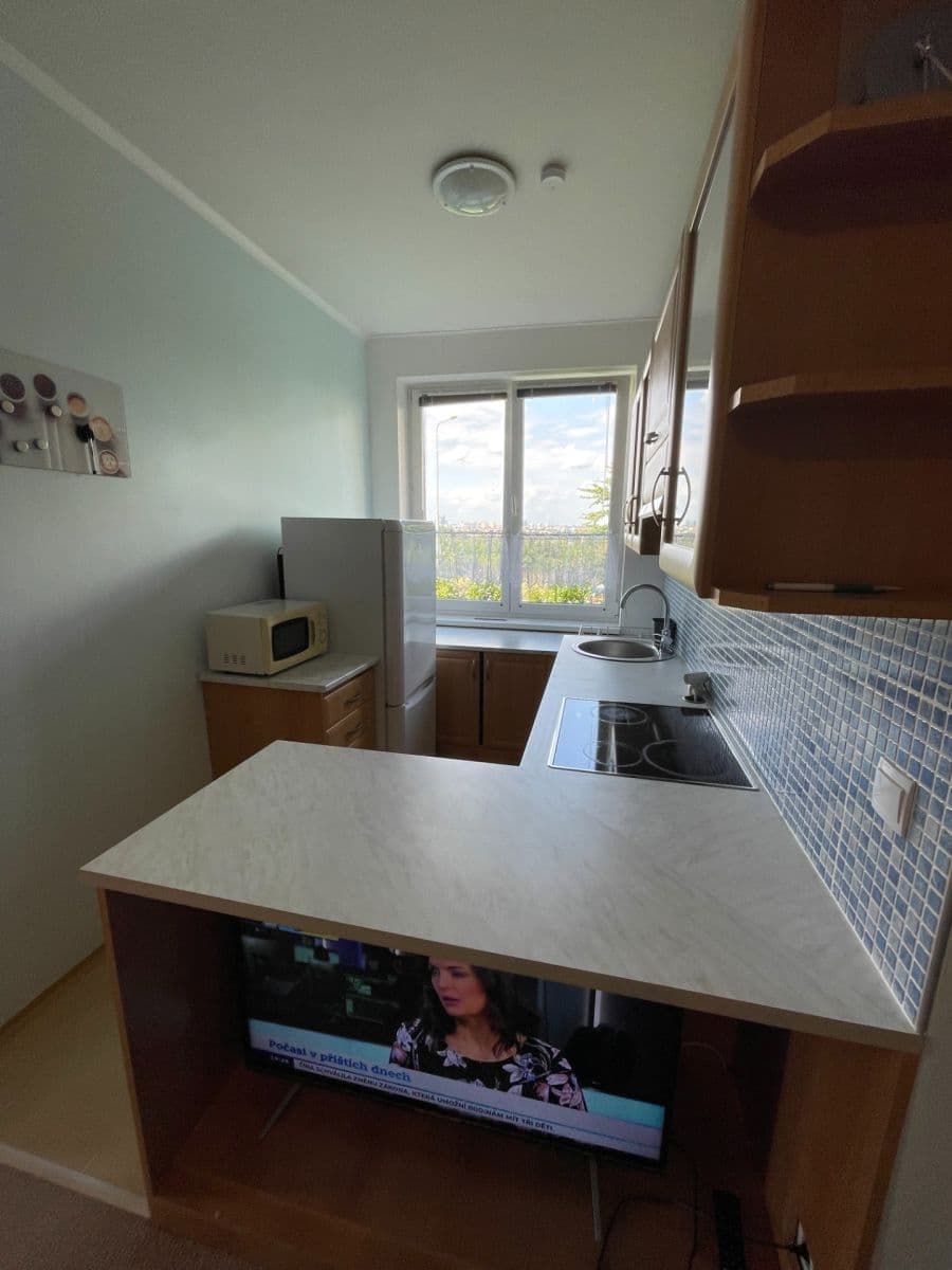 2 bedroom with open-plan kitchen flat to rent, 50 m², Jalodvorská, Prague, Prague 2 bedroom with open-plan kitchen flat to rent, 50 m², Jalodvorská, Prague, Prague