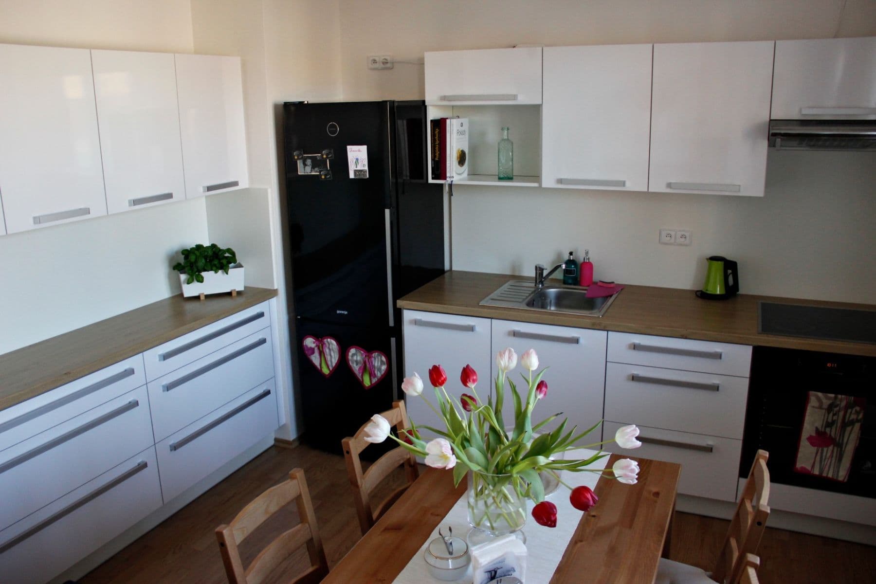 1 bedroom with open-plan kitchen flat to rent, 45 m², Rychtáře Petříka, Prague, Prague 1 bedroom with open-plan kitchen flat to rent, 45 m², Rychtáře Petříka, Prague, Prague