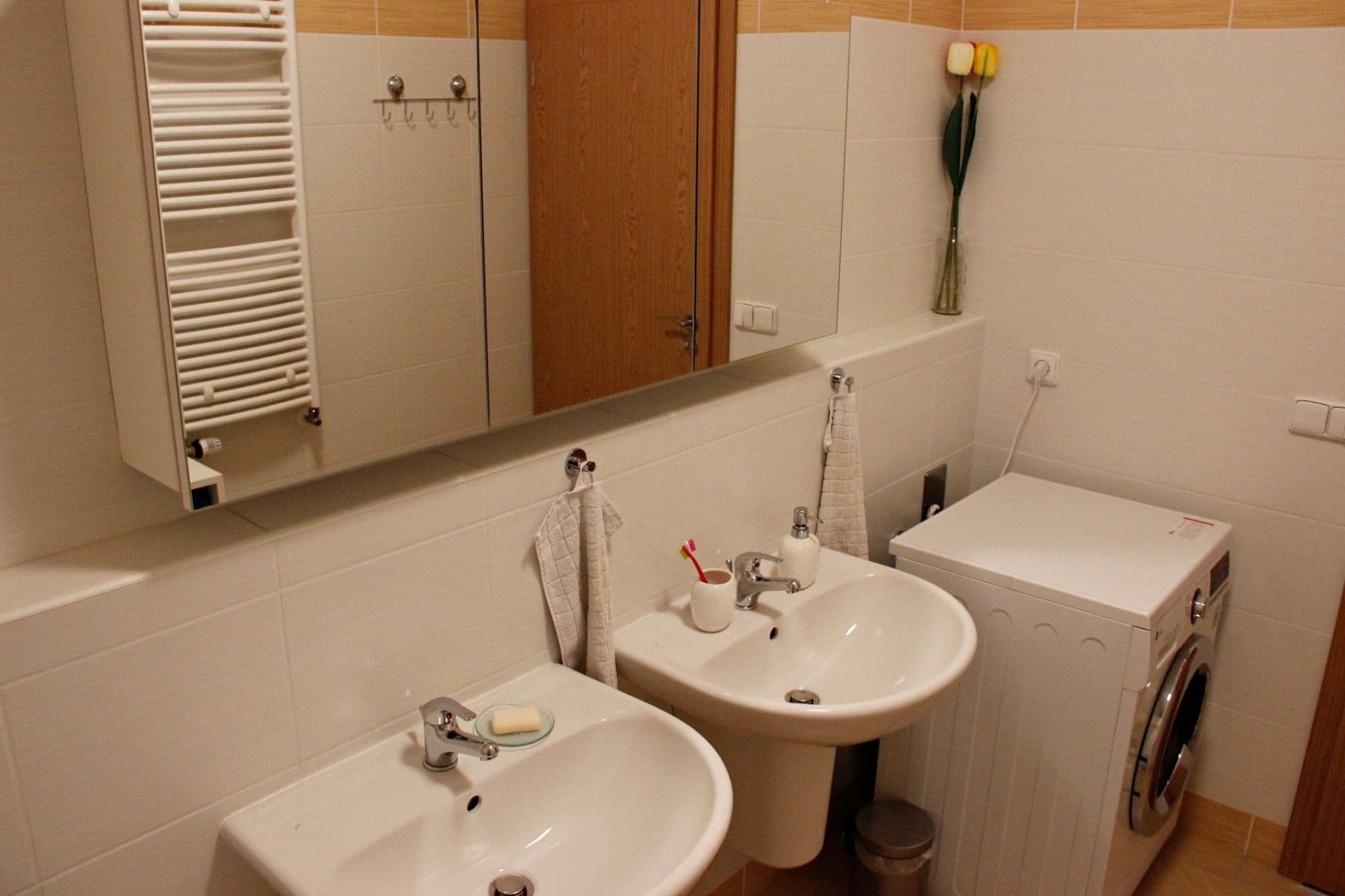 1 bedroom with open-plan kitchen flat to rent, 45 m², Rychtáře Petříka, Prague, Prague 1 bedroom with open-plan kitchen flat to rent, 45 m², Rychtáře Petříka, Prague, Prague