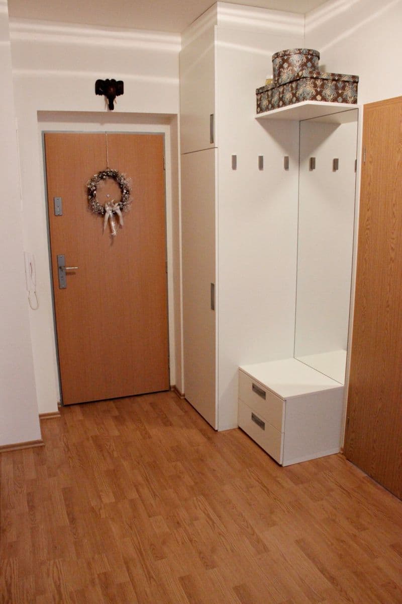 1 bedroom with open-plan kitchen flat to rent, 45 m², Rychtáře Petříka, Prague, Prague 1 bedroom with open-plan kitchen flat to rent, 45 m², Rychtáře Petříka, Prague, Prague