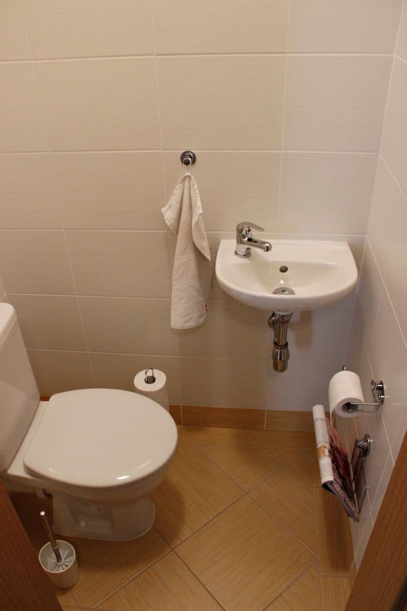 1 bedroom with open-plan kitchen flat to rent, 45 m², Rychtáře Petříka, Prague, Prague 1 bedroom with open-plan kitchen flat to rent, 45 m², Rychtáře Petříka, Prague, Prague