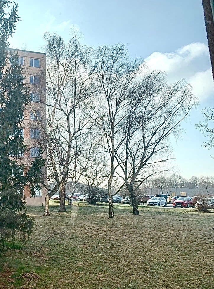 3 bedroom with open-plan kitchen flat to rent, 83 m², Pujmanové, Prague, Prague 3 bedroom with open-plan kitchen flat to rent, 83 m², Pujmanové, Prague, Prague