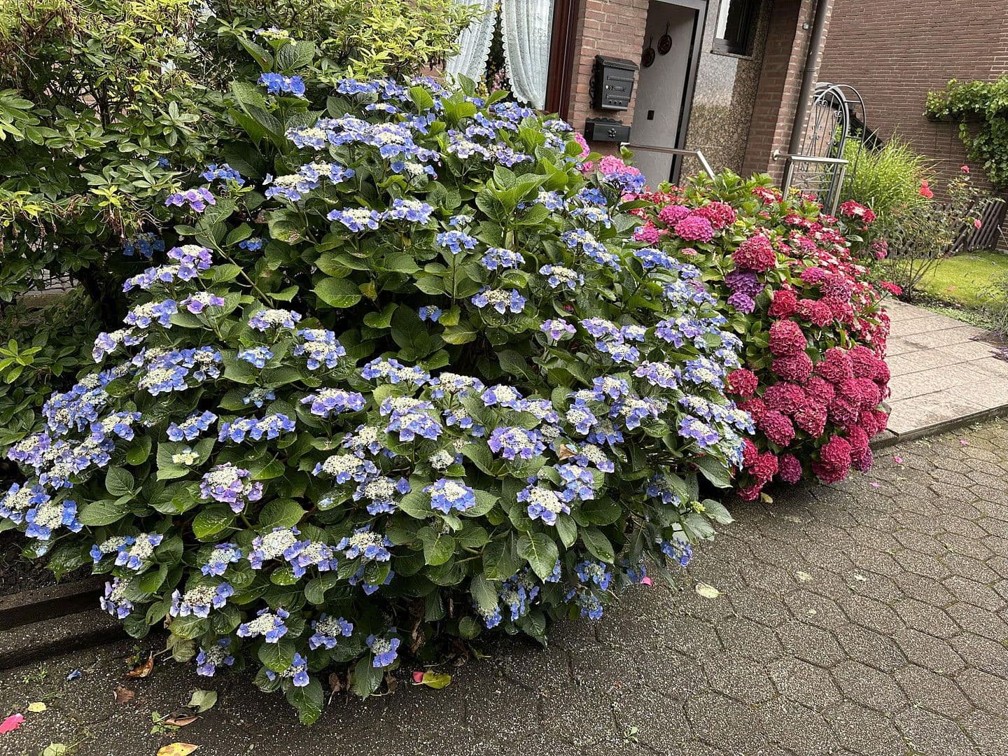 house for sale, 145 m², Essen, North Rhine-Westphalia house for sale, 145 m², Essen, North Rhine-Westphalia