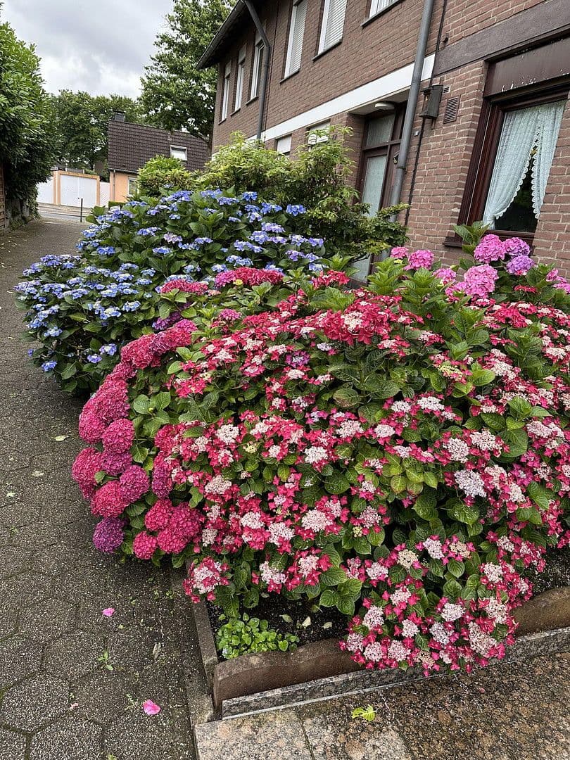 house for sale, 145 m², Essen, North Rhine-Westphalia house for sale, 145 m², Essen, North Rhine-Westphalia