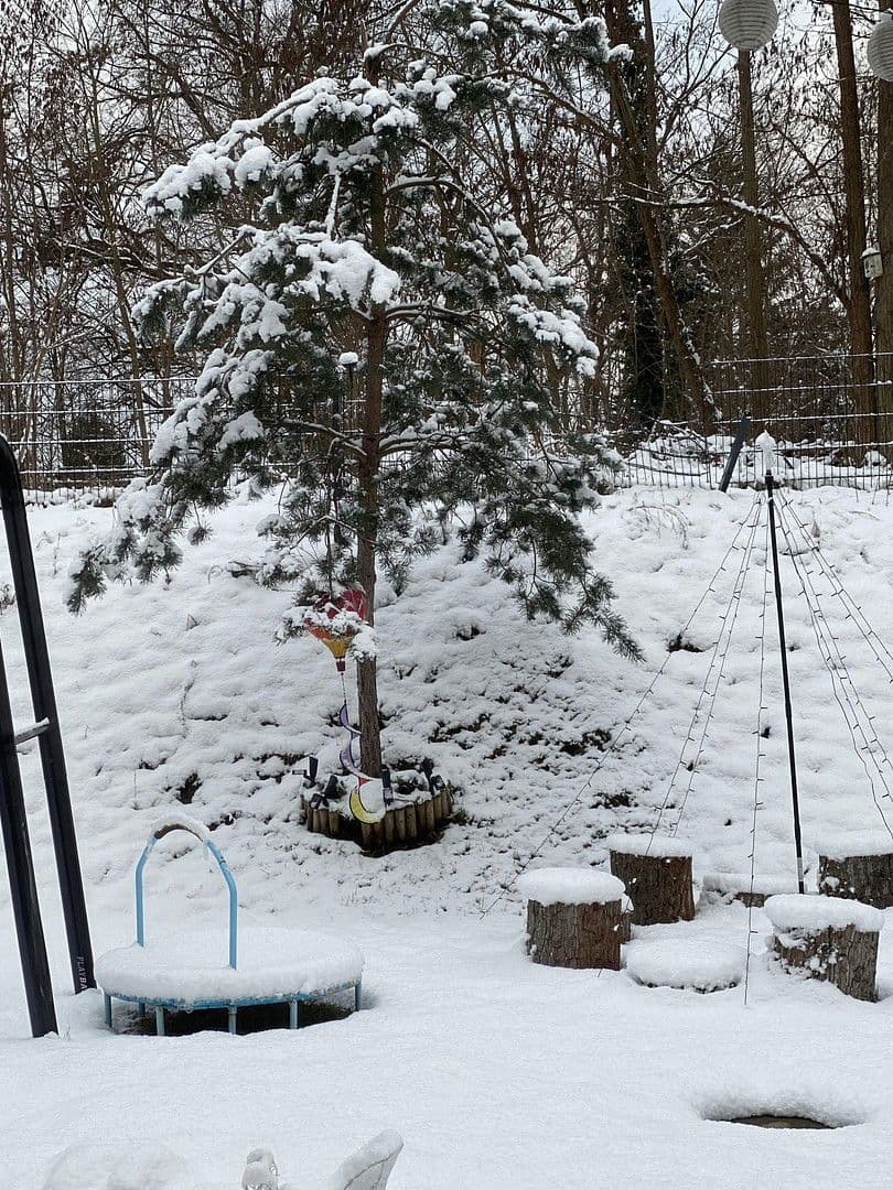 2 bedroom with open-plan kitchen flat to rent, 100 m², Berlin, Berlin 2 bedroom with open-plan kitchen flat to rent, 100 m², Berlin, Berlin