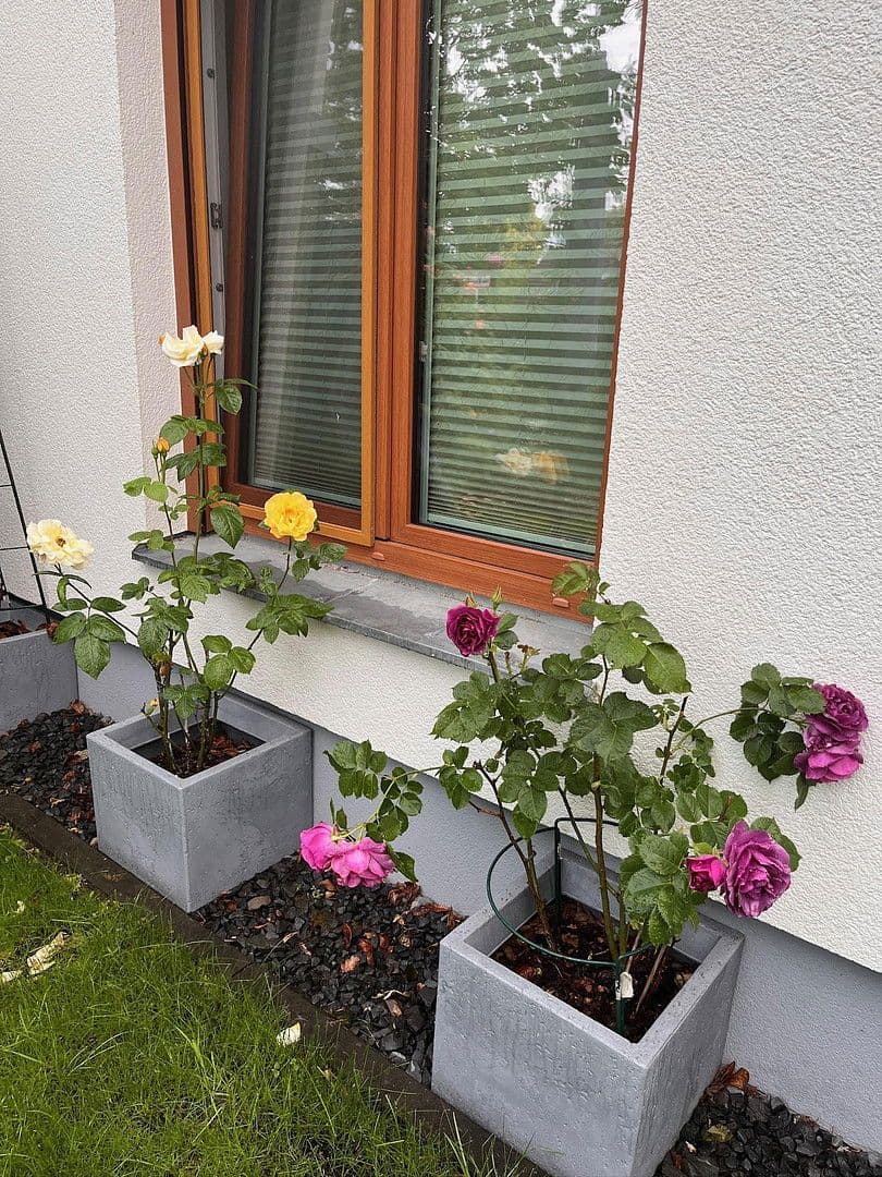 2 bedroom with open-plan kitchen flat for sale, 100 m², Berlin, Berlin 2 bedroom with open-plan kitchen flat for sale, 100 m², Berlin, Berlin