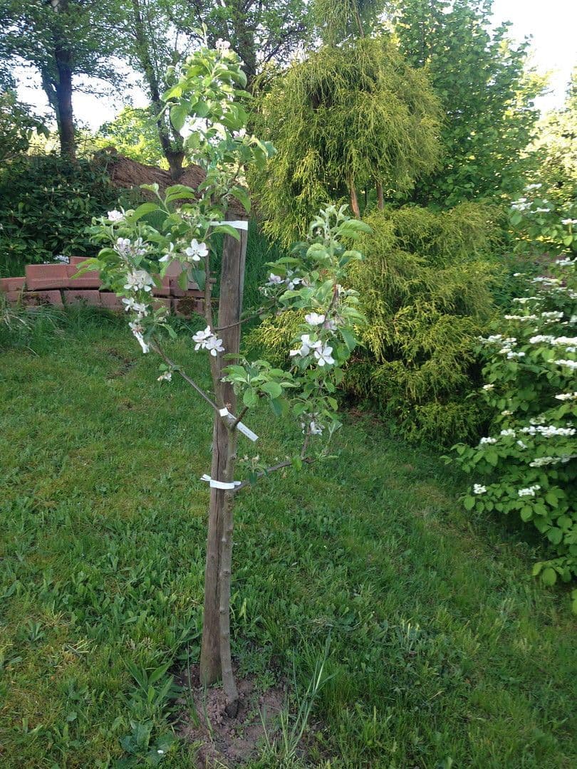 house for sale, 120 m², Haibach, Bavaria house for sale, 120 m², Haibach, Bavaria