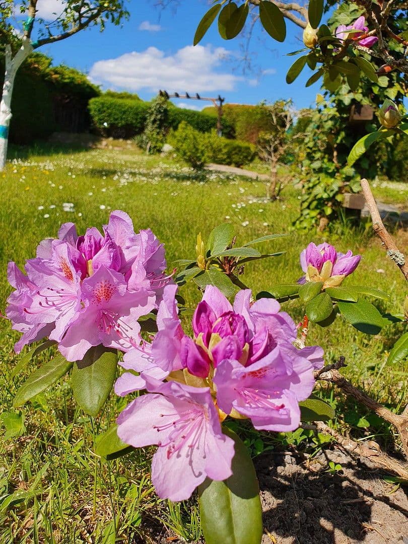 house for sale, 45 m², An der Wehme 12d, Havelsee, Brandenburg house for sale, 45 m², An der Wehme 12d, Havelsee, Brandenburg