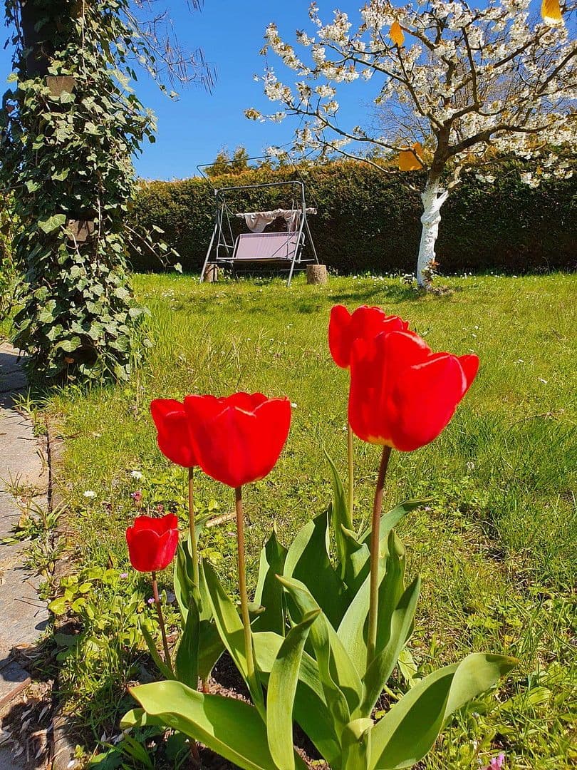 house for sale, 45 m², An der Wehme 12d, Havelsee, Brandenburg house for sale, 45 m², An der Wehme 12d, Havelsee, Brandenburg