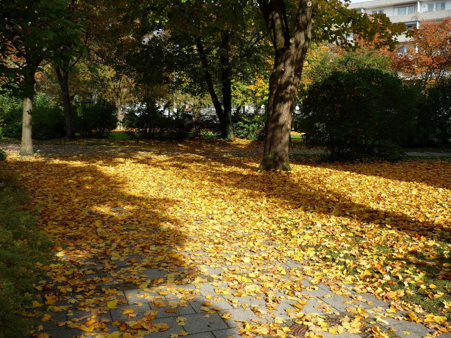 2 bedroom with open-plan kitchen flat for sale, 104 m², Rathausstr. 34, Karlsfeld, Bavaria 2 bedroom with open-plan kitchen flat for sale, 104 m², Rathausstr. 34, Karlsfeld, Bavaria