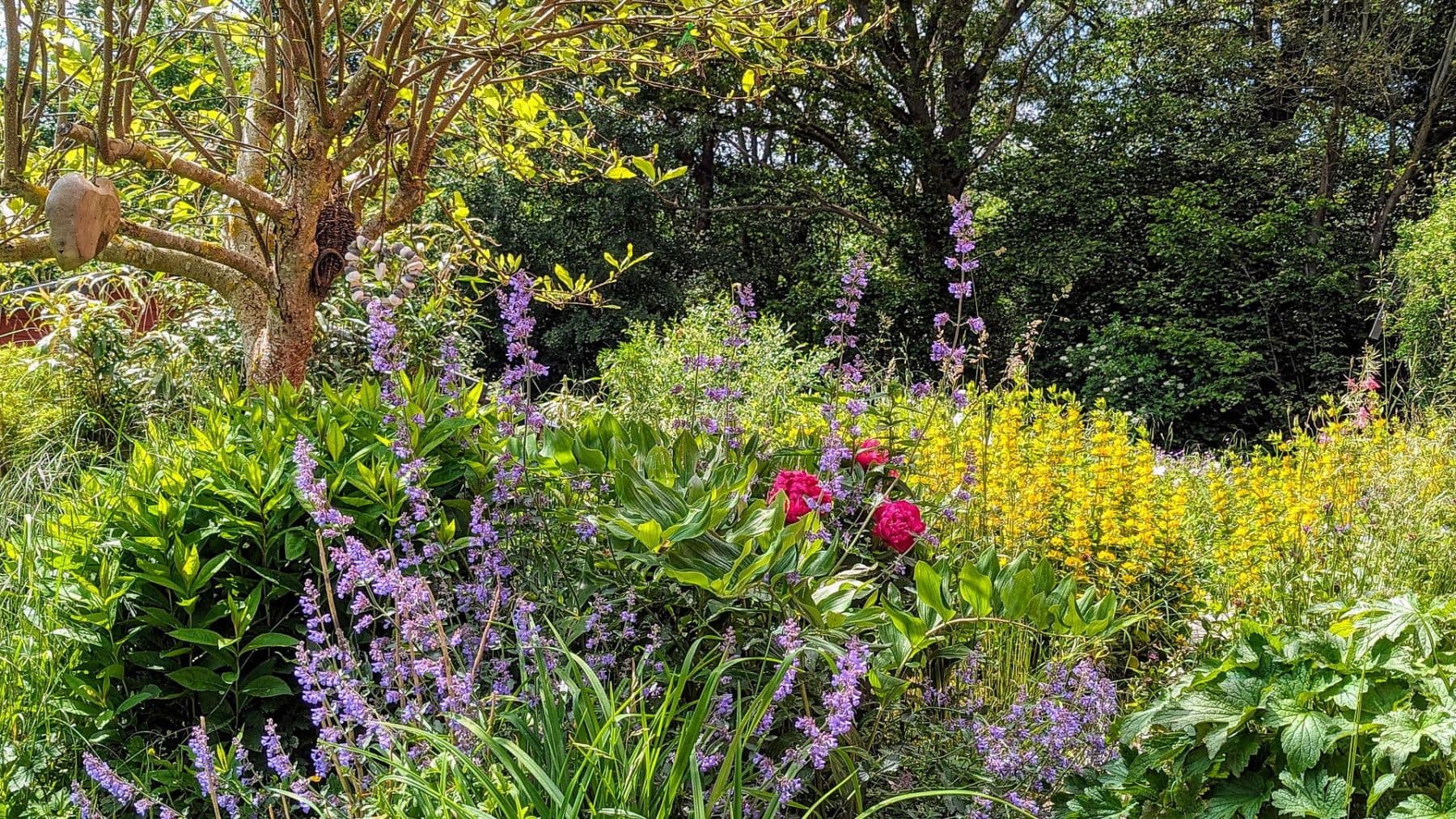 house for sale, 389 m², Daimlerstr. 14, Taunusstein, Hesse house for sale, 389 m², Daimlerstr. 14, Taunusstein, Hesse