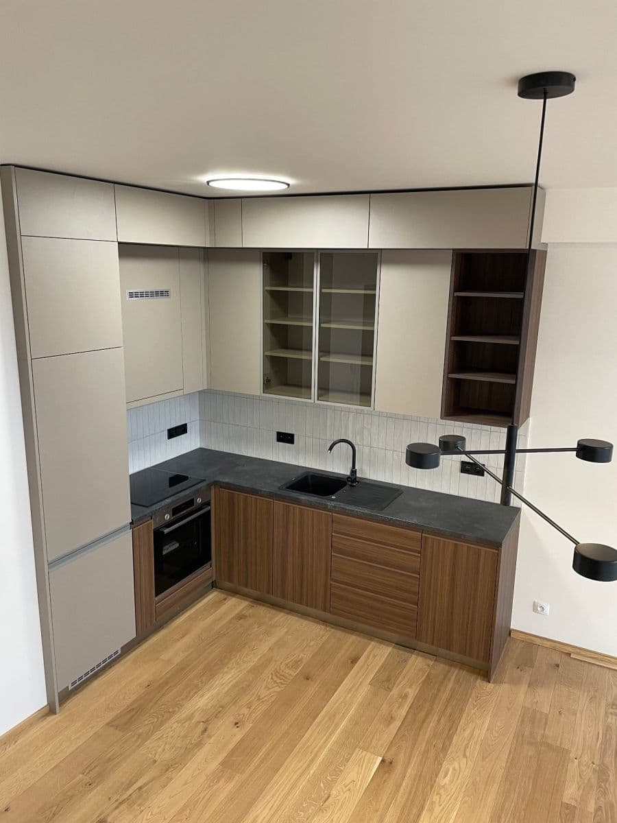 1 bedroom with open-plan kitchen flat to rent, 76 m², V Přístavu, Prague, Prague 1 bedroom with open-plan kitchen flat to rent, 76 m², V Přístavu, Prague, Prague