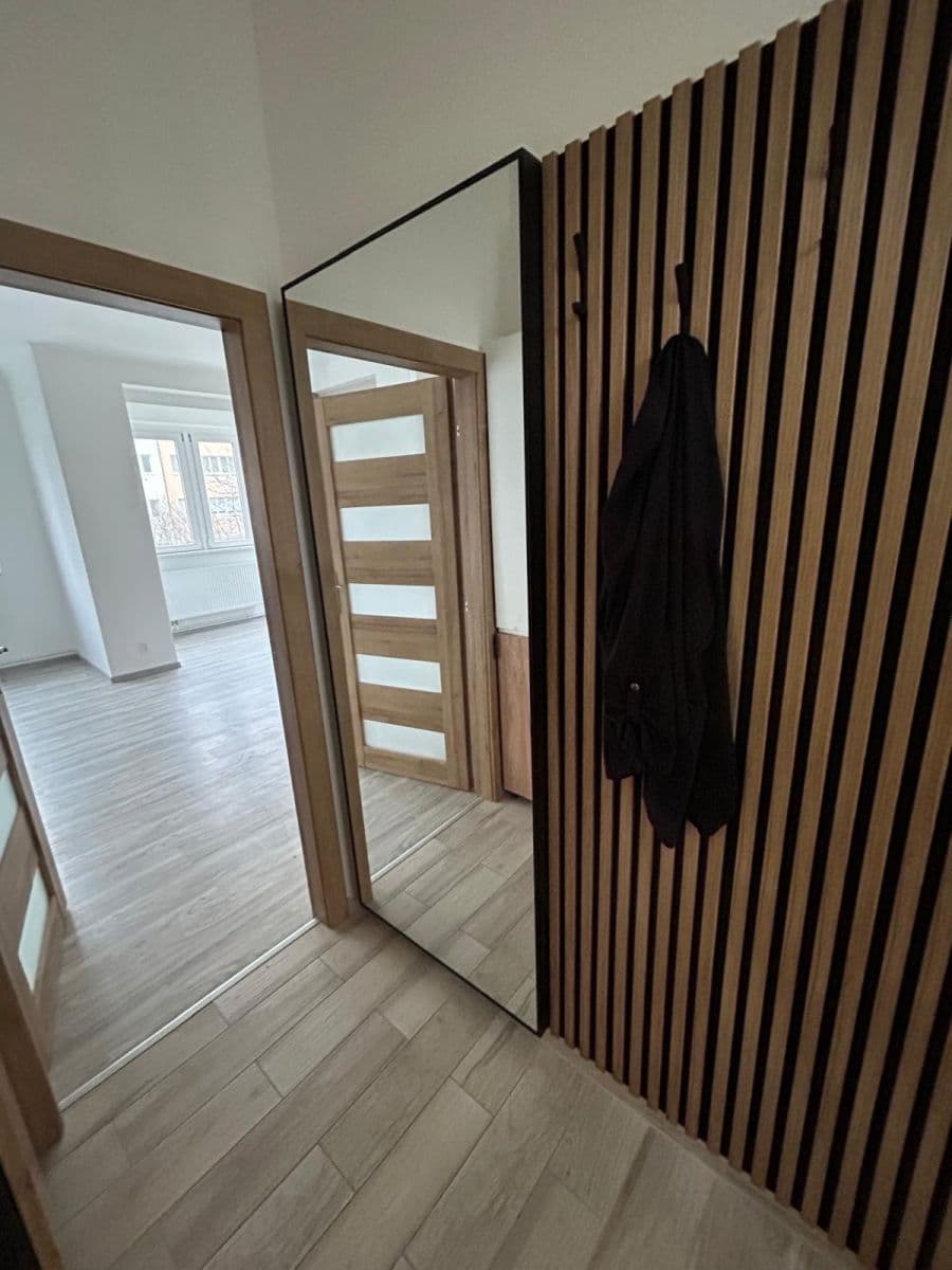 1 bedroom with open-plan kitchen flat to rent, 45 m², Neveklovská, Prague, Prague 1 bedroom with open-plan kitchen flat to rent, 45 m², Neveklovská, Prague, Prague