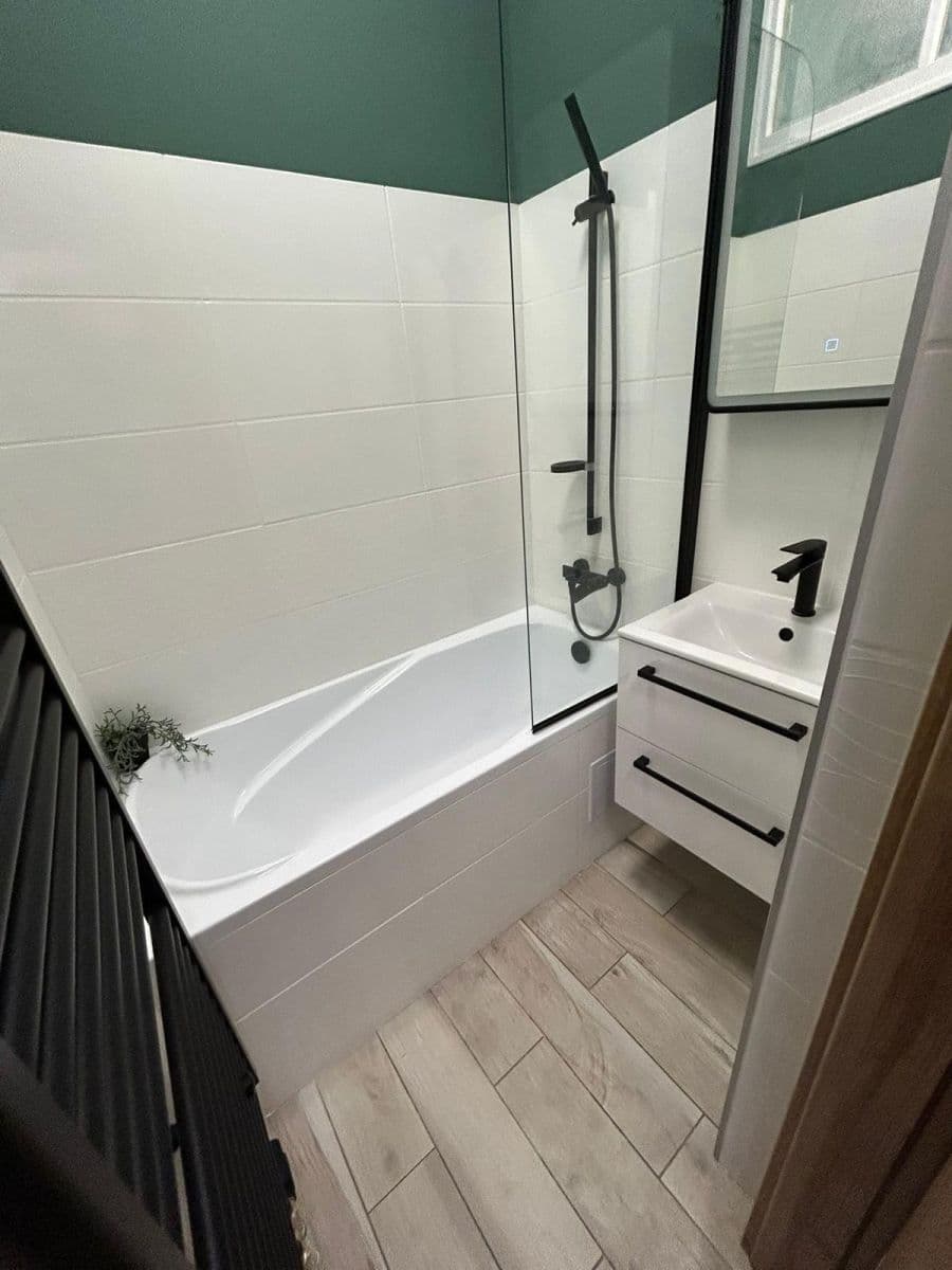 1 bedroom with open-plan kitchen flat to rent, 45 m², Neveklovská, Prague, Prague 1 bedroom with open-plan kitchen flat to rent, 45 m², Neveklovská, Prague, Prague