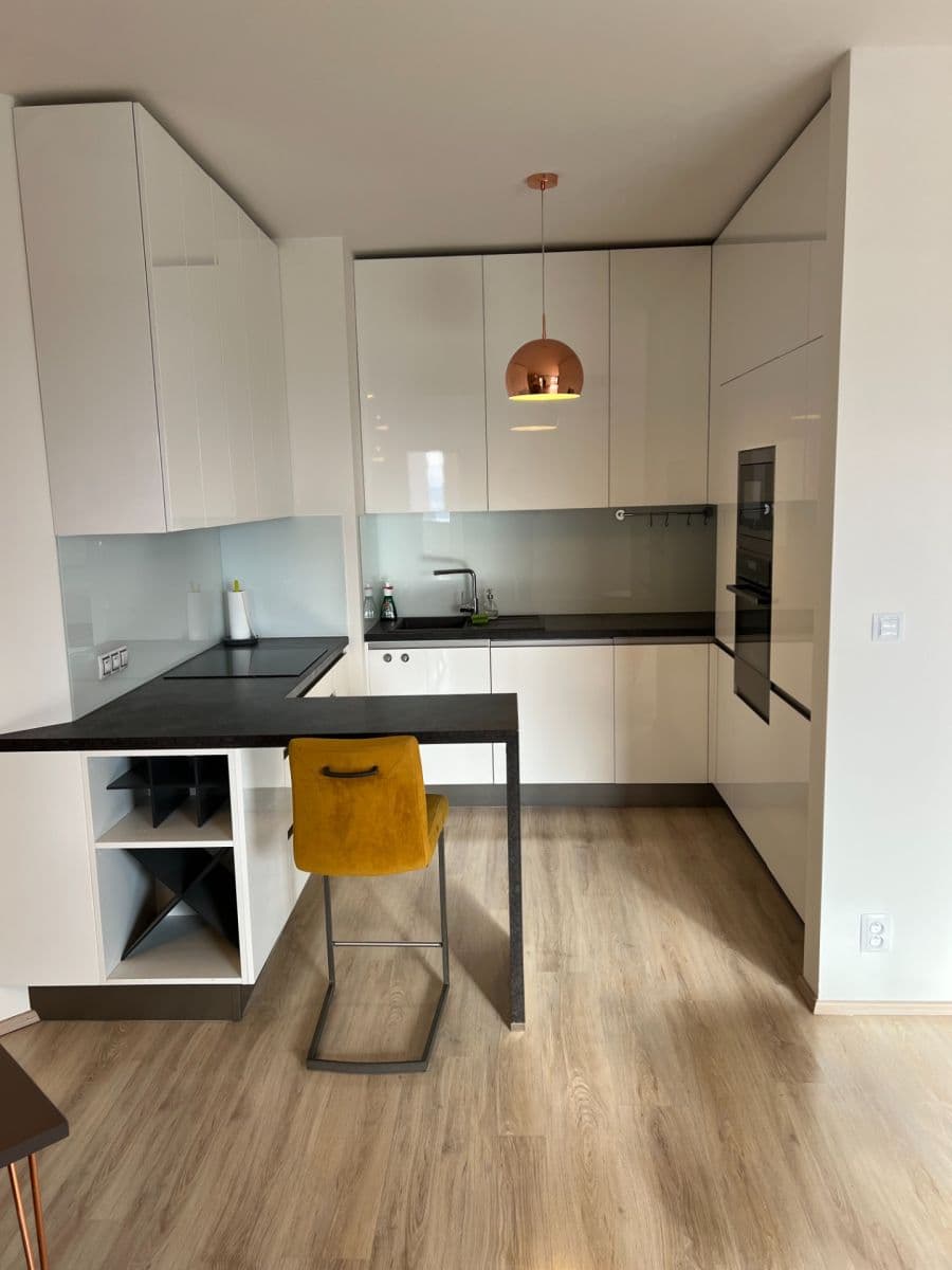 2 bedroom with open-plan kitchen flat for sale, 99 m², Řípská, Brno, Jihomoravský Region 2 bedroom with open-plan kitchen flat for sale, 99 m², Řípská, Brno, Jihomoravský Region