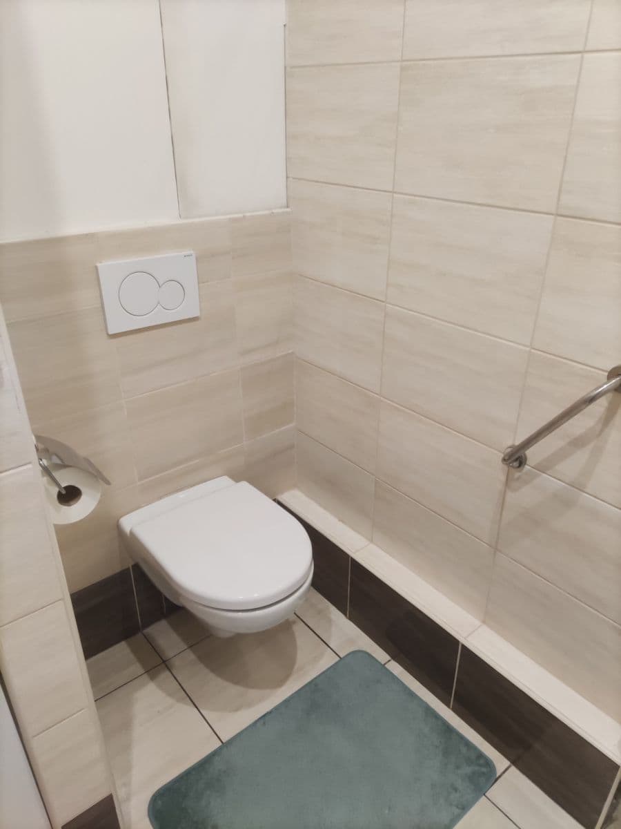 1 bedroom with open-plan kitchen flat to rent, 48 m², třída Edvarda Beneše, Hradec Králové, Královéhradecký Region 1 bedroom with open-plan kitchen flat to rent, 48 m², třída Edvarda Beneše, Hradec Králové, Královéhradecký Region