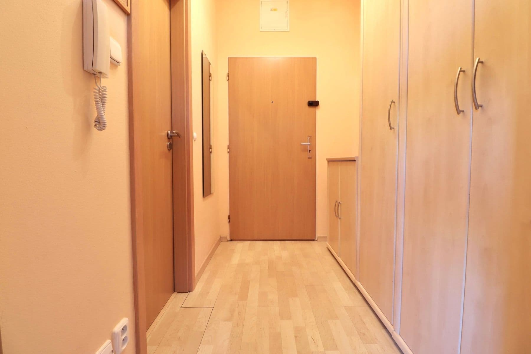 1 bedroom with open-plan kitchen flat to rent, 41 m², Voskovcova, Prague, Prague 1 bedroom with open-plan kitchen flat to rent, 41 m², Voskovcova, Prague, Prague