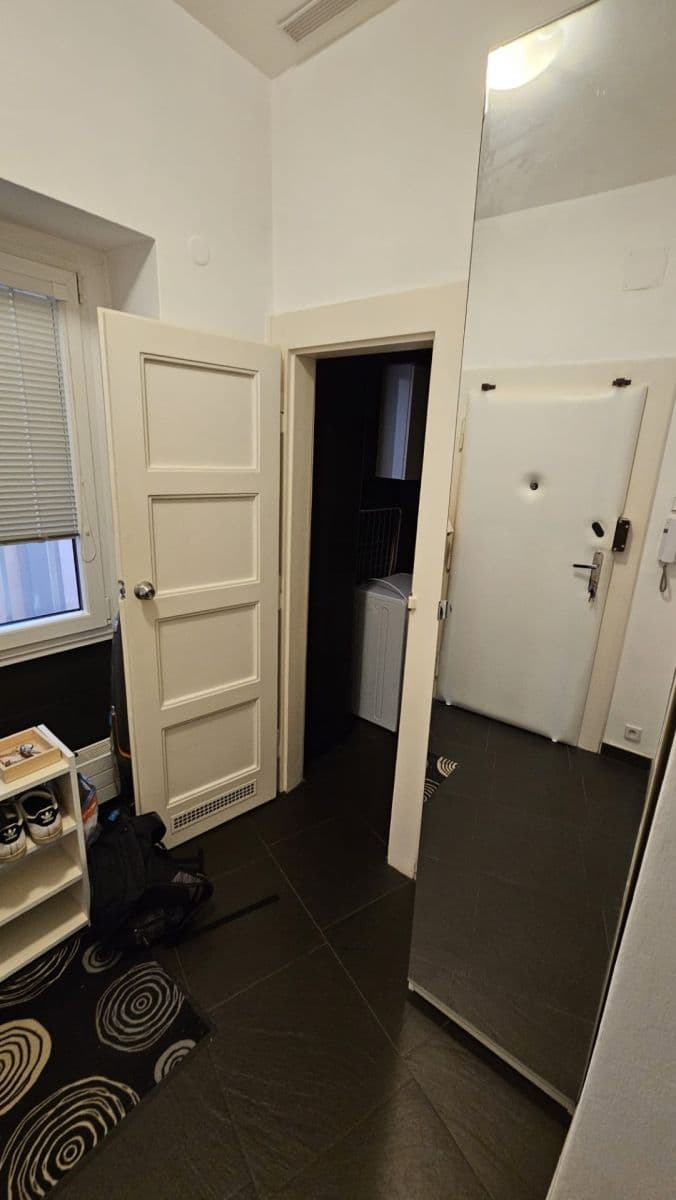 1 bedroom with open-plan kitchen flat to rent, 39 m², Biskupcova, Prague, Prague 1 bedroom with open-plan kitchen flat to rent, 39 m², Biskupcova, Prague, Prague