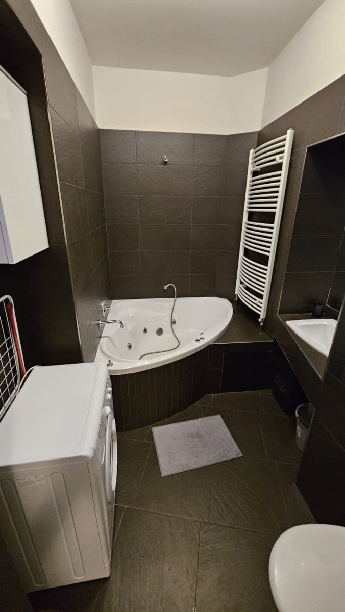 1 bedroom with open-plan kitchen flat to rent, 39 m², Biskupcova, Prague, Prague 1 bedroom with open-plan kitchen flat to rent, 39 m², Biskupcova, Prague, Prague