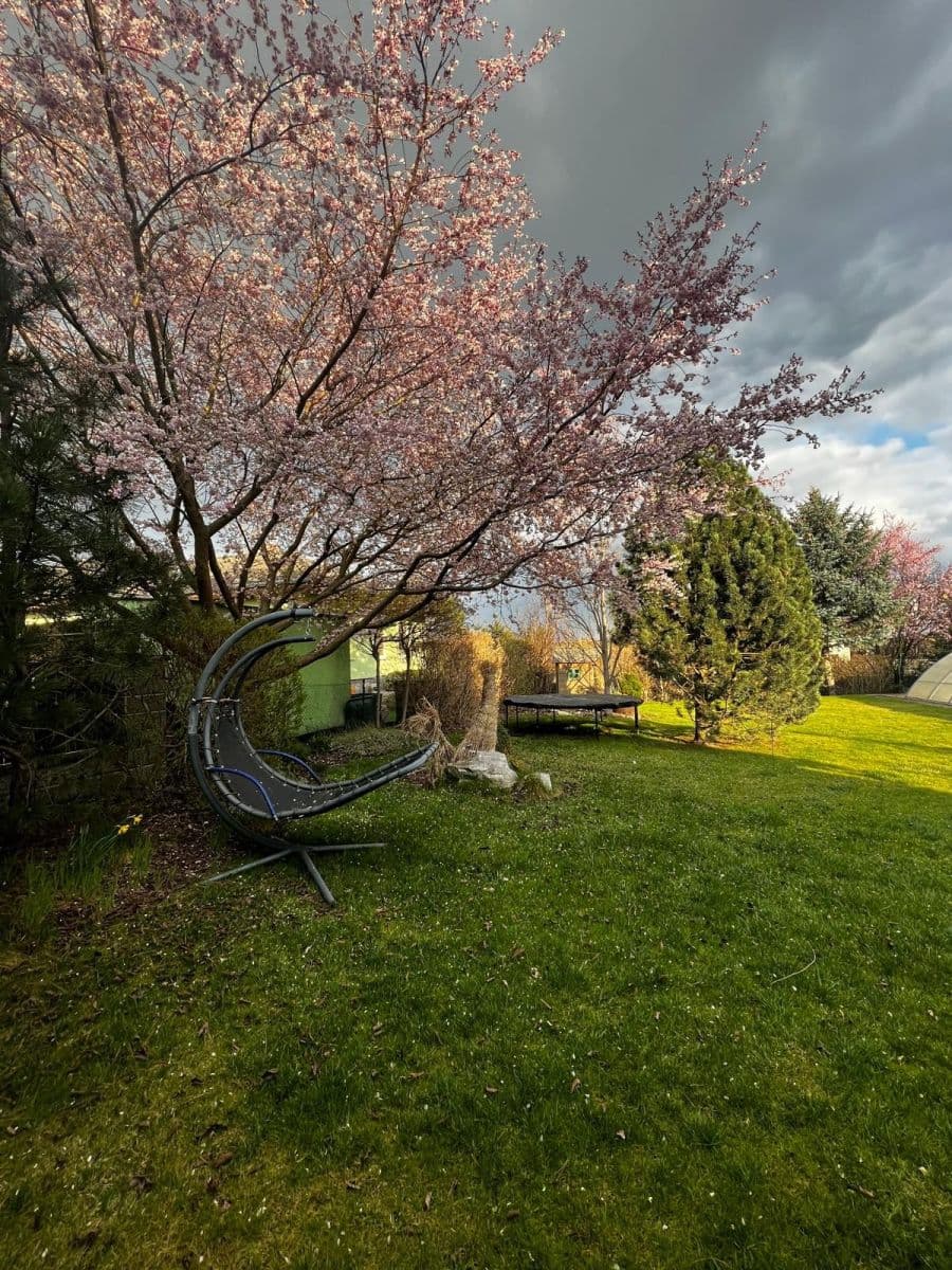 house to rent, 128 m², V Pálce, Křenice, Středočeský Region house to rent, 128 m², V Pálce, Křenice, Středočeský Region