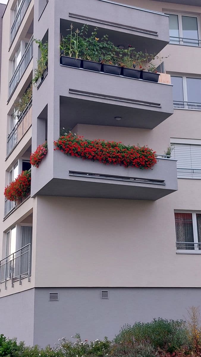 1 bedroom with open-plan kitchen flat for sale, 53 m², Toufarova, Prague, Prague 1 bedroom with open-plan kitchen flat for sale, 53 m², Toufarova, Prague, Prague