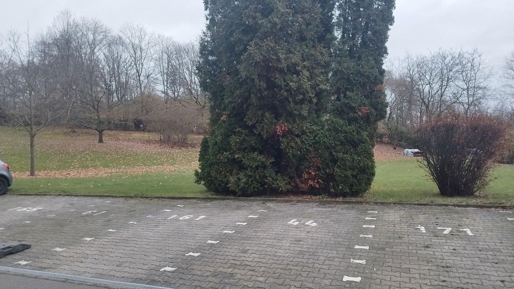 2 bedroom flat for sale, 56 m², Mainz, Rhineland-Palatinate 2 bedroom flat for sale, 56 m², Mainz, Rhineland-Palatinate