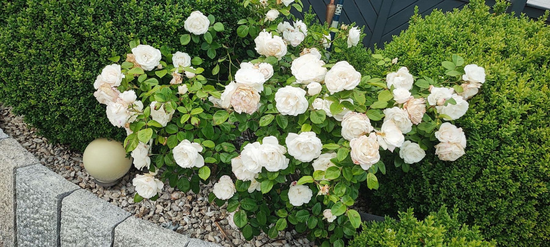 house for sale, 340 m², Schönberg (Holstein), Schleswig-Holstein house for sale, 340 m², Schönberg (Holstein), Schleswig-Holstein