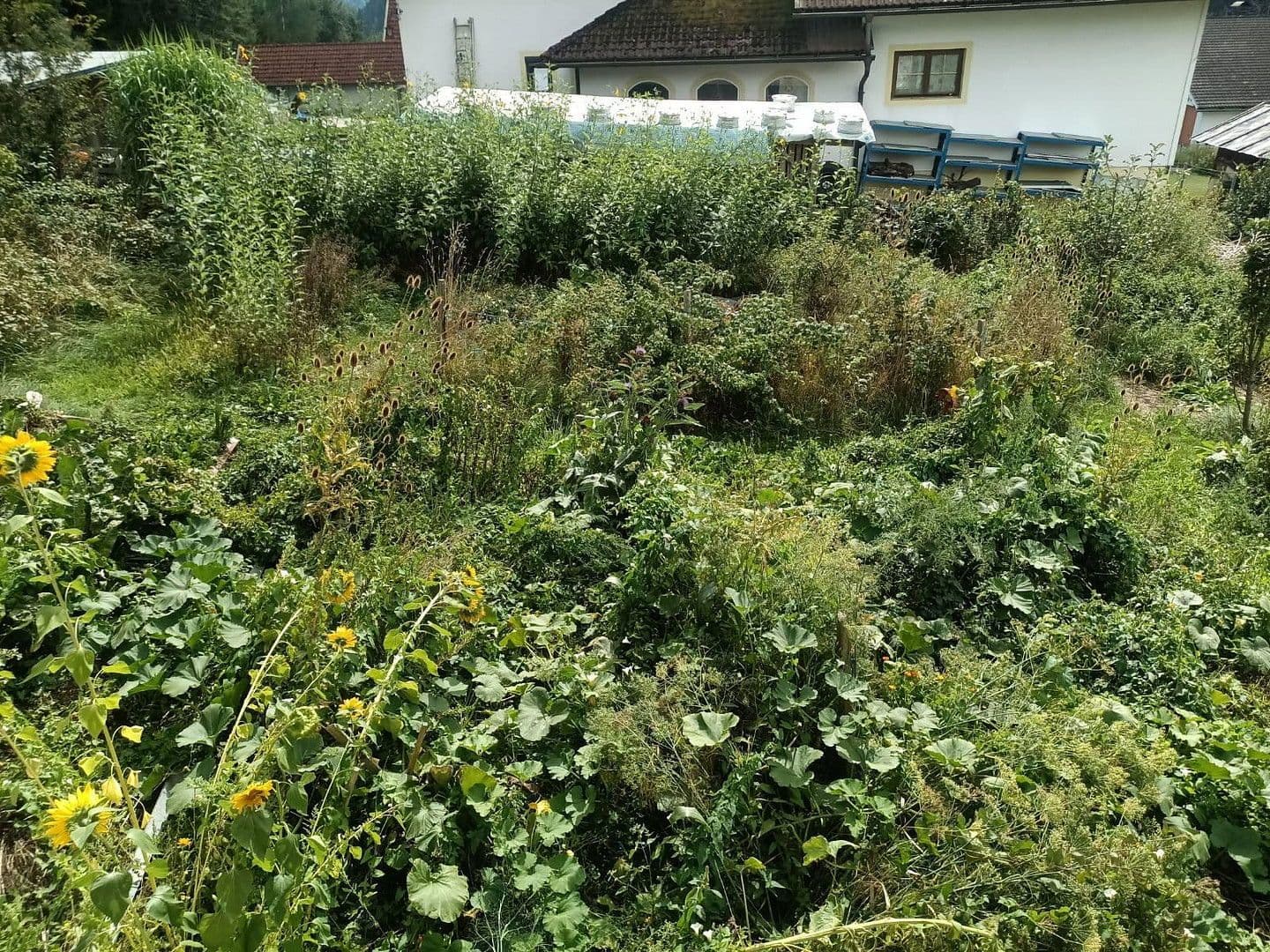 house for sale, 93 m², Steindorf, Carinthia house for sale, 93 m², Steindorf, Carinthia