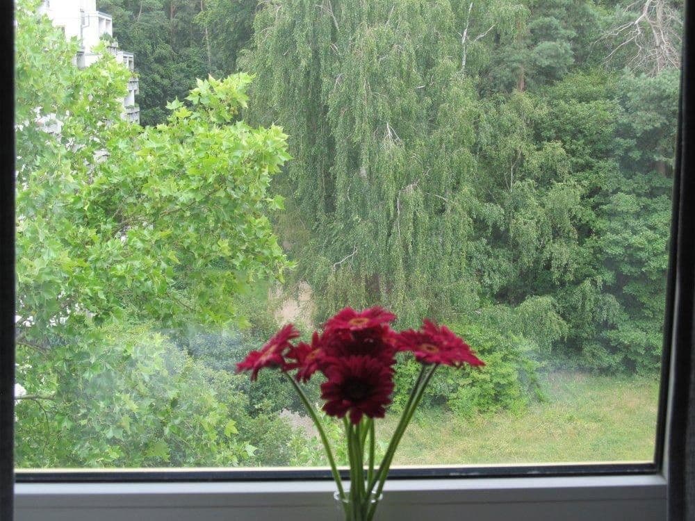 2 bedroom flat to rent, 48 m², Weidigweg 31, Darmstadt, Hesse 2 bedroom flat to rent, 48 m², Weidigweg 31, Darmstadt, Hesse