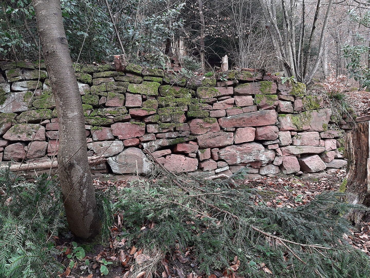 plot for sale, 968 m², In den Wingert 20, Neckargemünd, Baden-Württemberg plot for sale, 968 m², In den Wingert 20, Neckargemünd, Baden-Württemberg