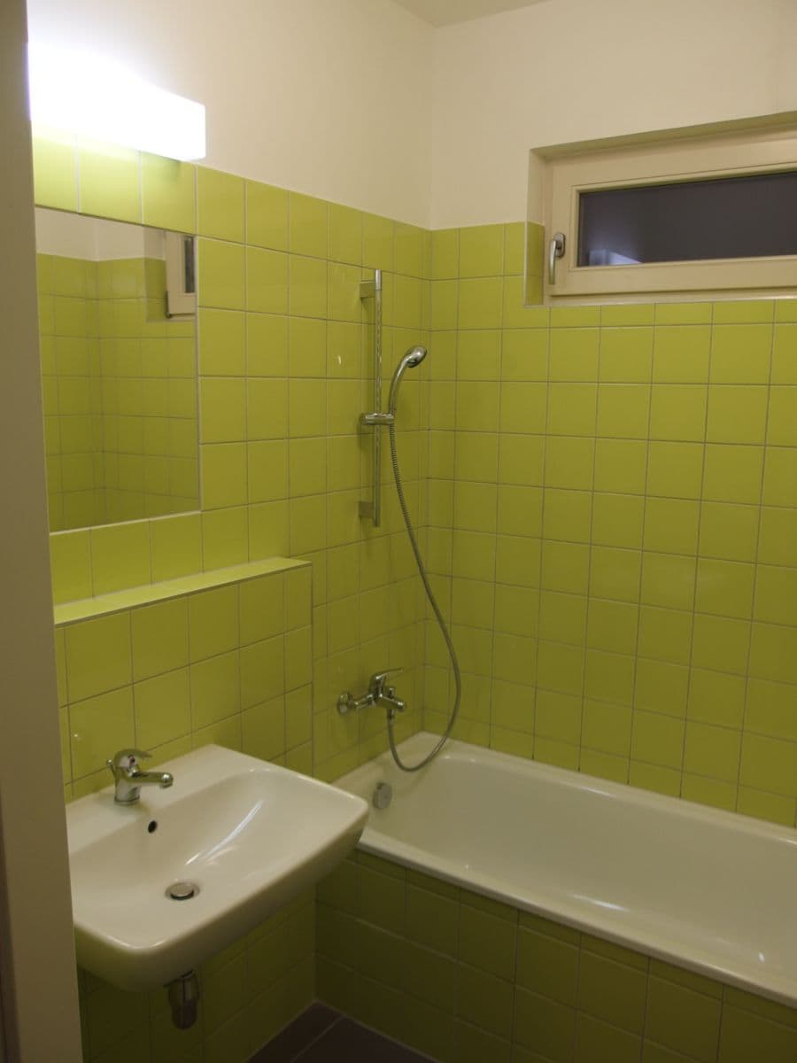 1 bedroom with open-plan kitchen flat to rent, 43 m², U Kněžské louky, Prague, Prague 1 bedroom with open-plan kitchen flat to rent, 43 m², U Kněžské louky, Prague, Prague