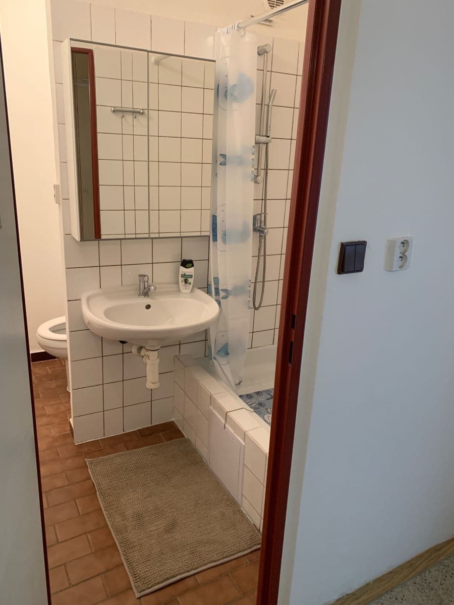 Studio flat to rent, 32 m², Hodonínská, Plzeň, Plzeňský Region Studio flat to rent, 32 m², Hodonínská, Plzeň, Plzeňský Region