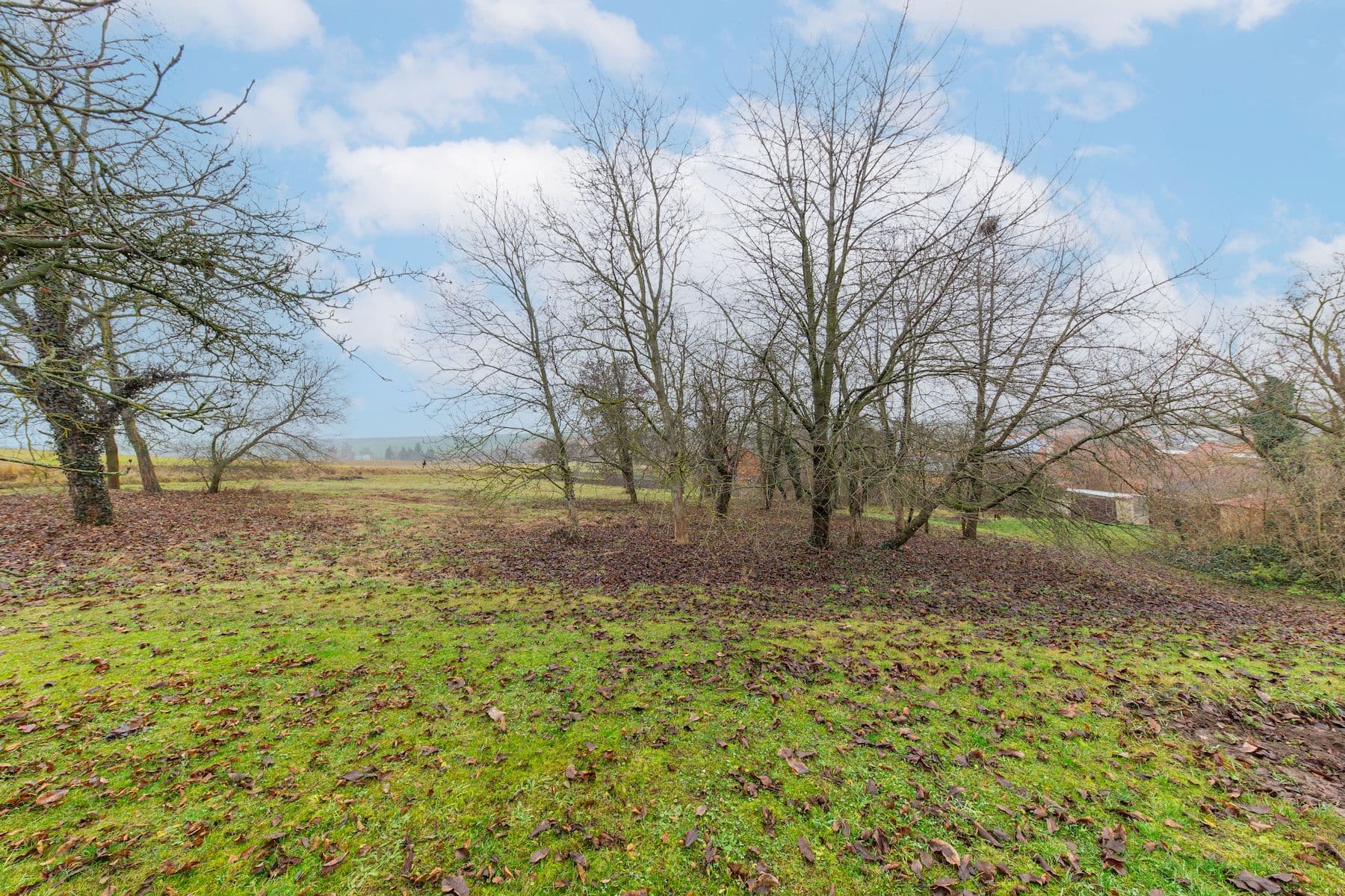 house for sale, 150 m², Skalka, Olomoucký Region house for sale, 150 m², Skalka, Olomoucký Region